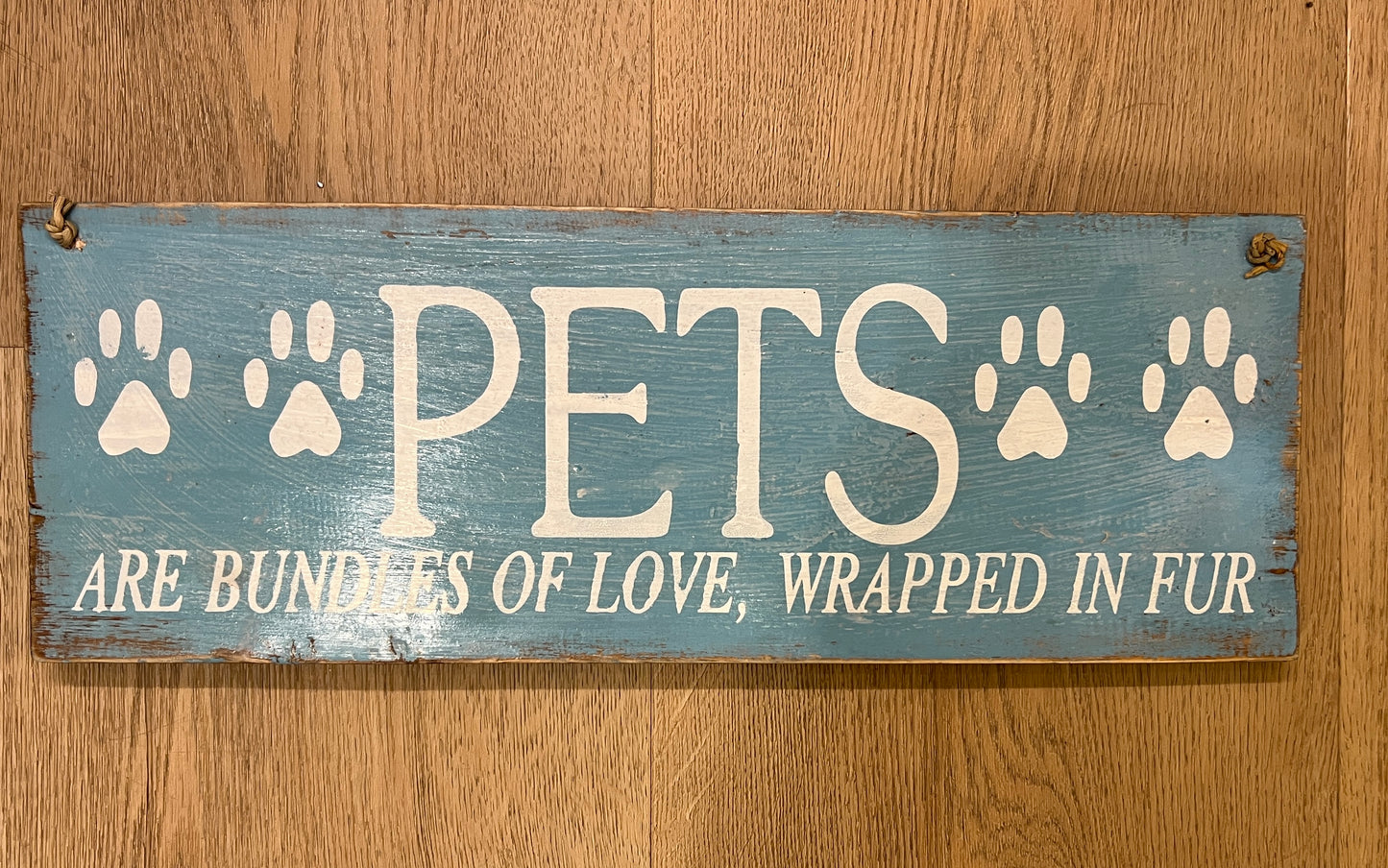 Pets are Bundles of Love