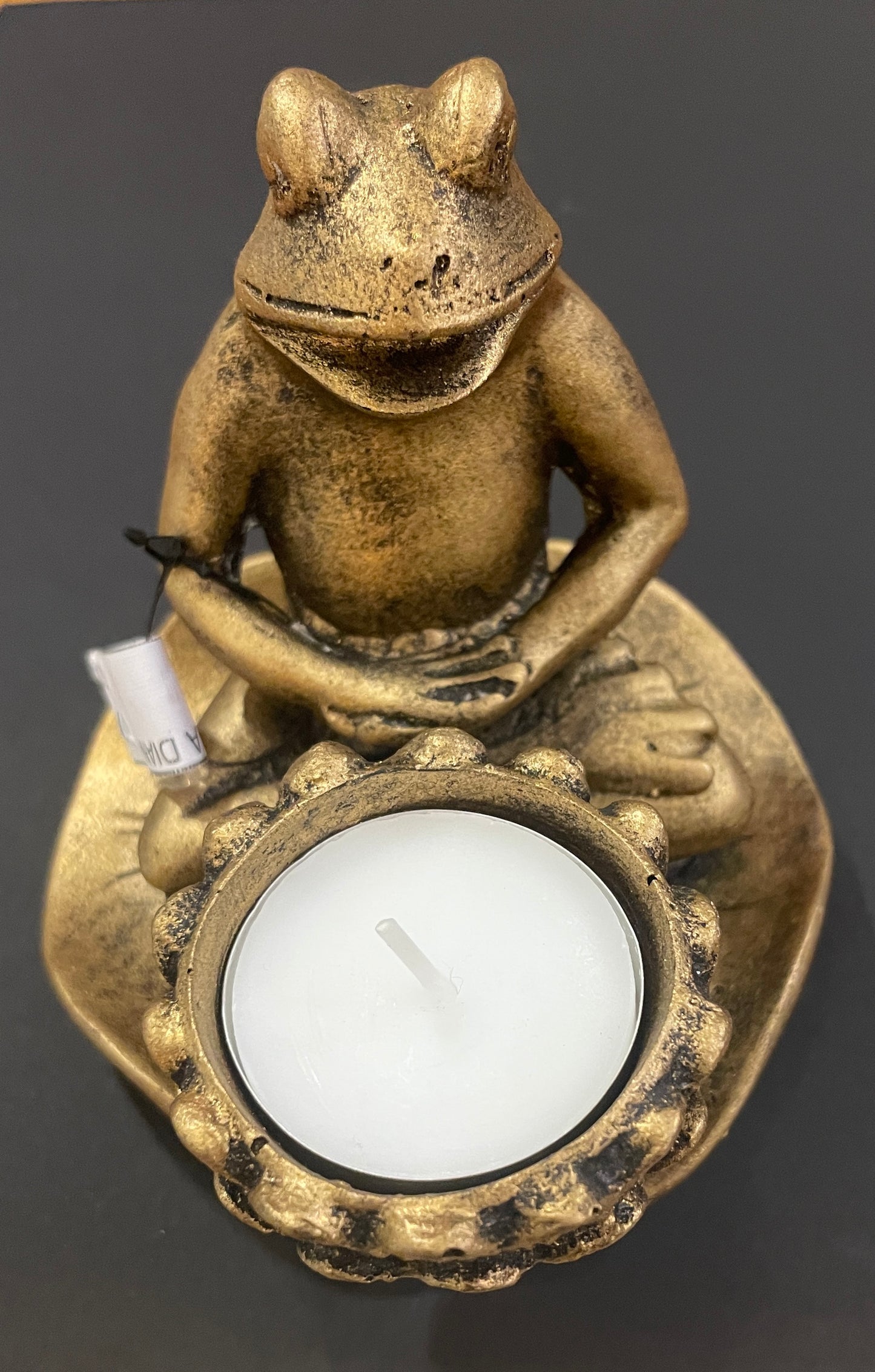 Mediterende Kikker Theelichthouder 11 cm