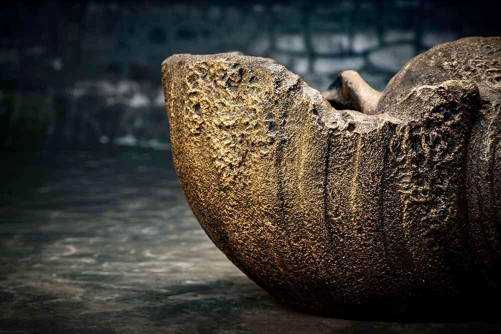 Gigantische Keong Zeeschelpen Bloempot Ø80 cm