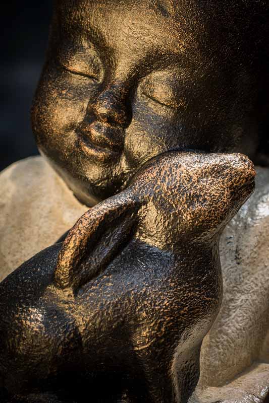 Shaolin met Konijntje 45cm